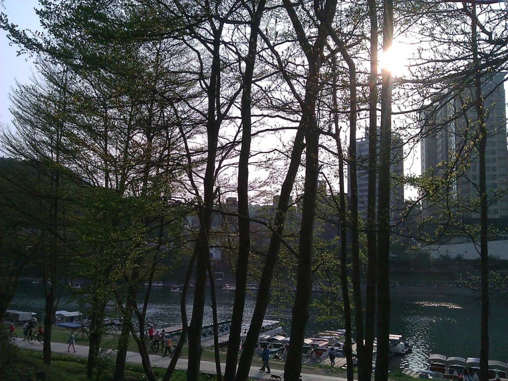 Riding the bike along the Bitan