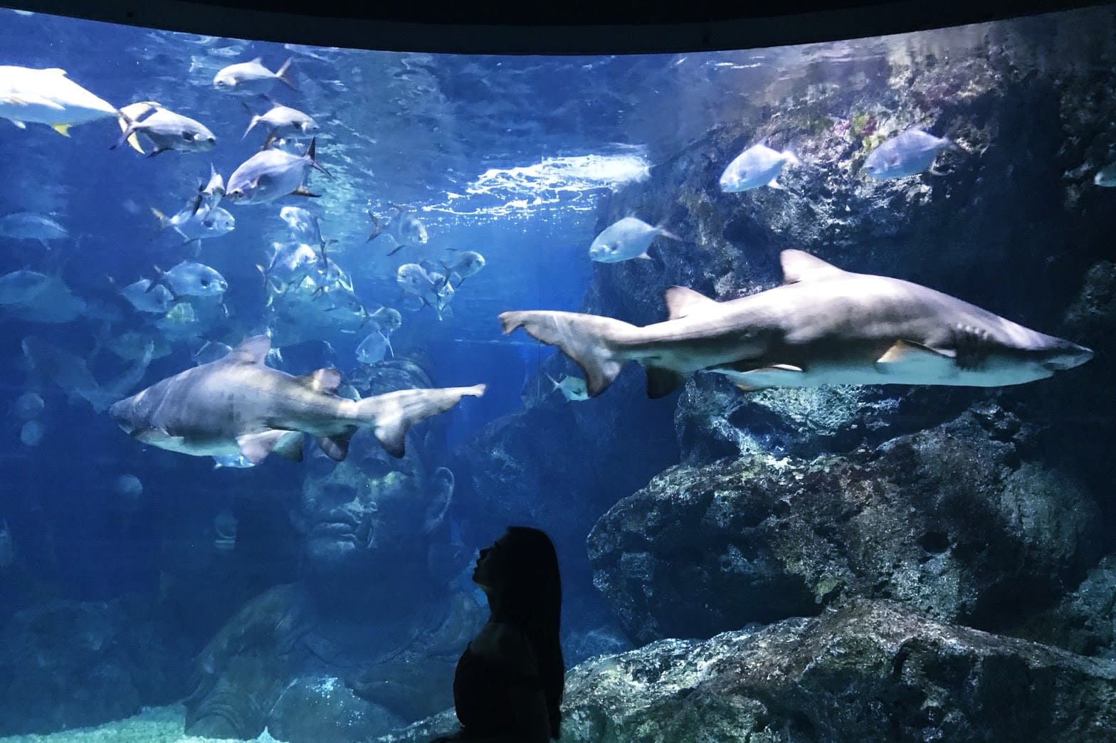 曼谷景點，暹羅海洋世界，曼谷水族館